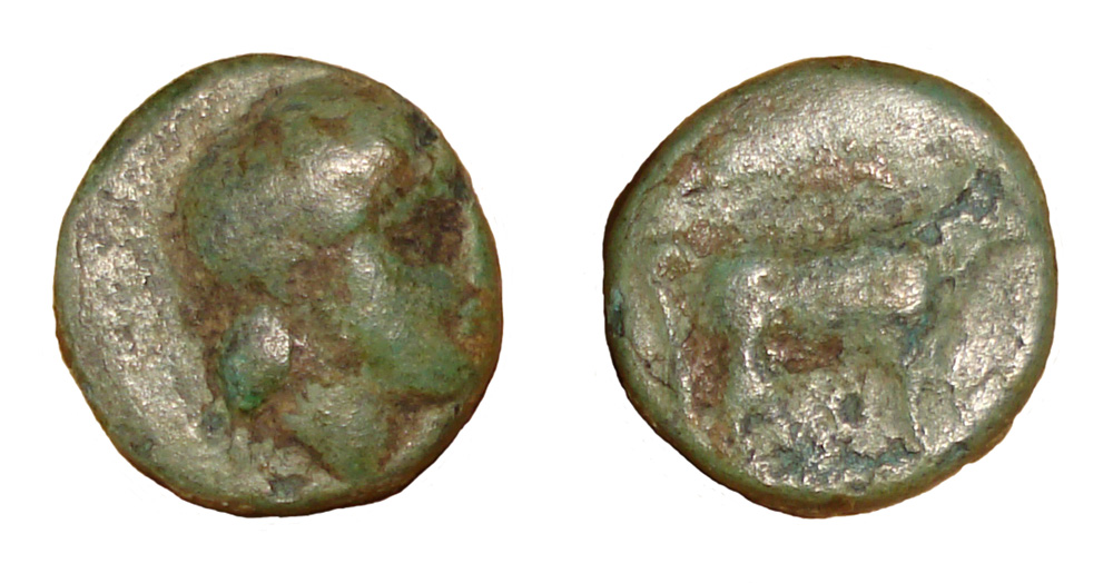 My-First-Animal-On-A-Coin.