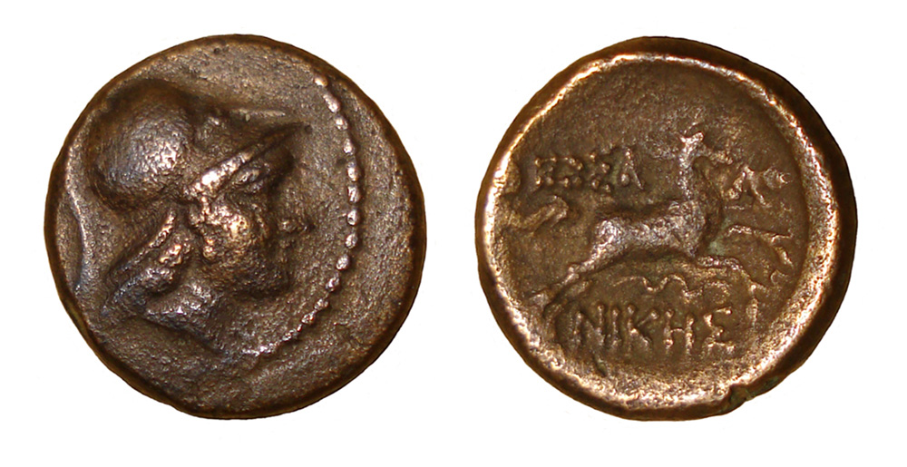 My-First-Animal-On-A-Coin.