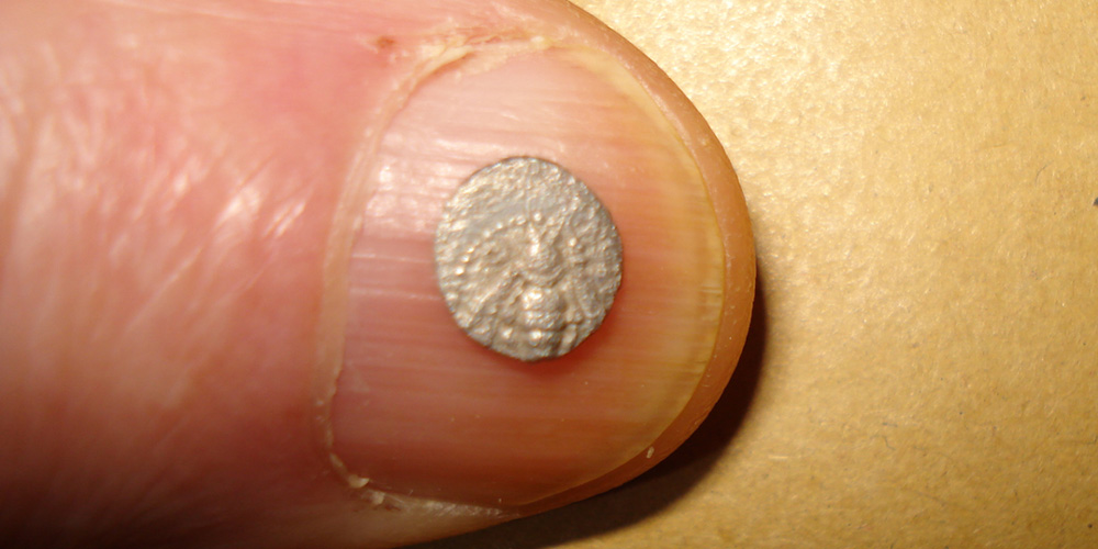 My-First-Animal-On-A-Coin.