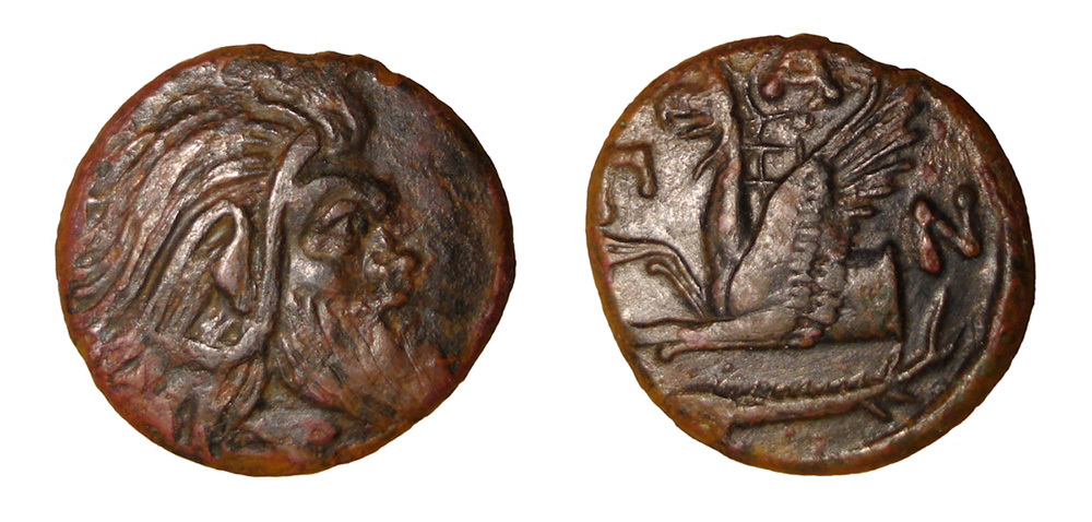 My-First-Animal-On-A-Coin.