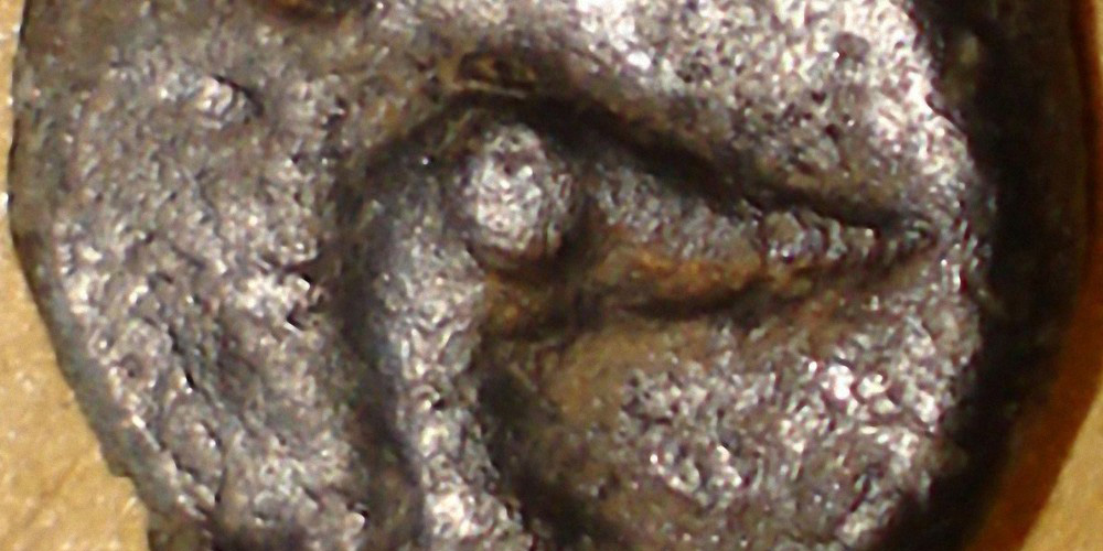 My-First-Animal-On-A-Coin.