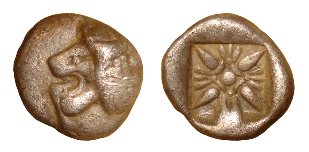 My-First-Animal-On-A-Coin.