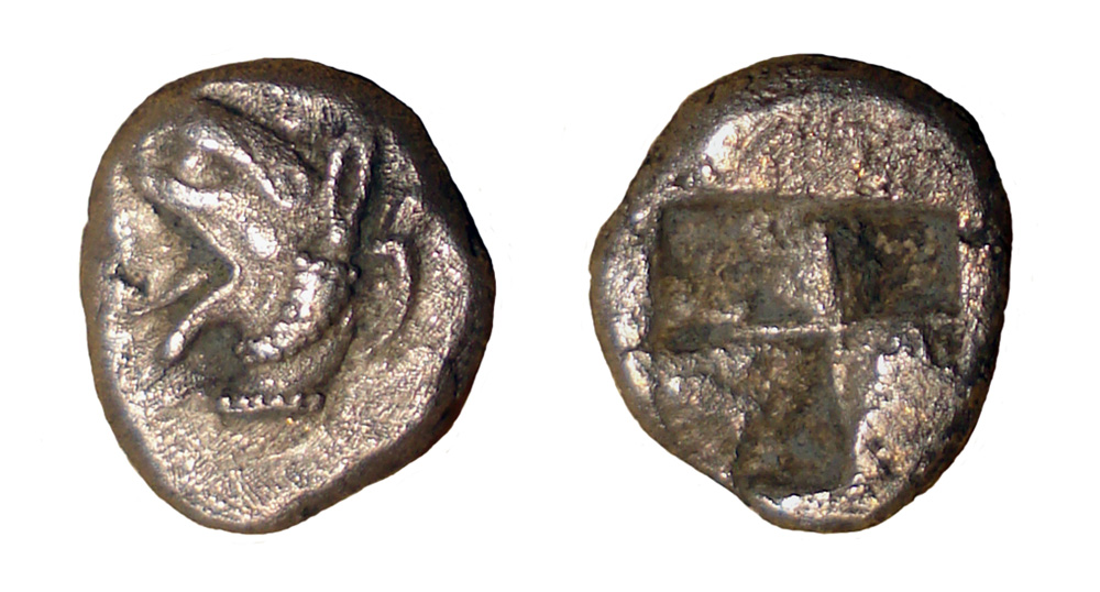 My-First-Animal-On-A-Coin.