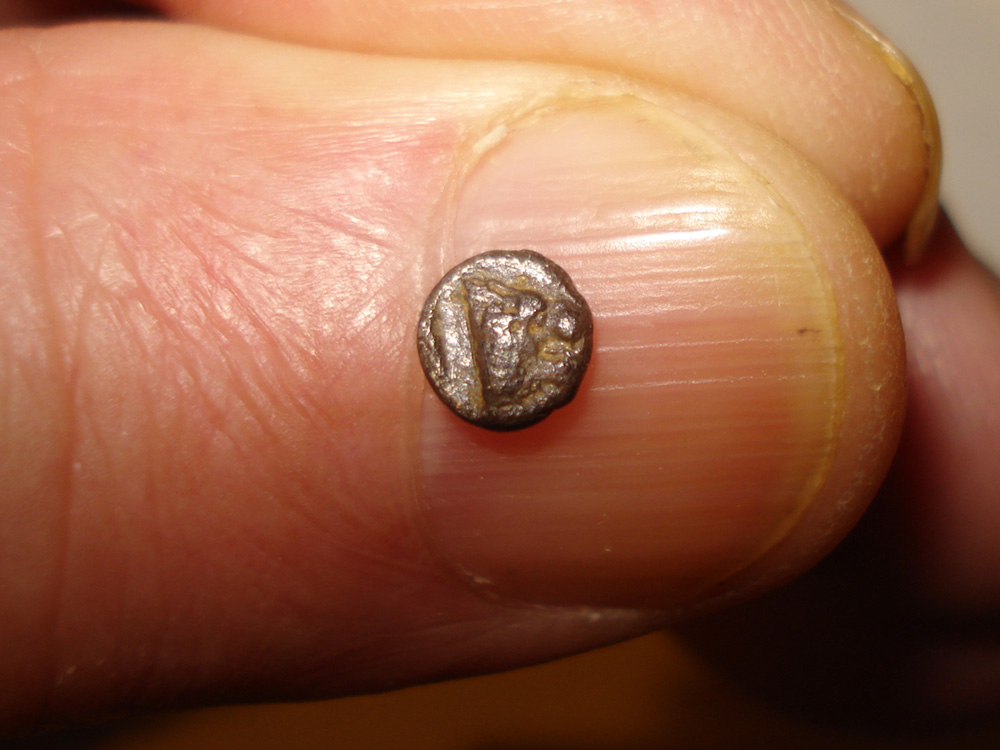 My-First-Animal-On-A-Coin.