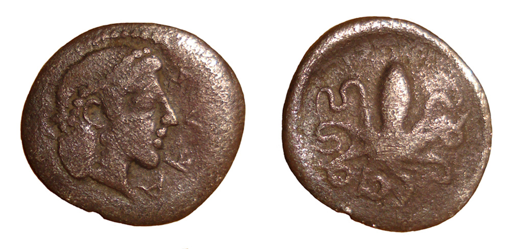 My-First-Animal-On-A-Coin.