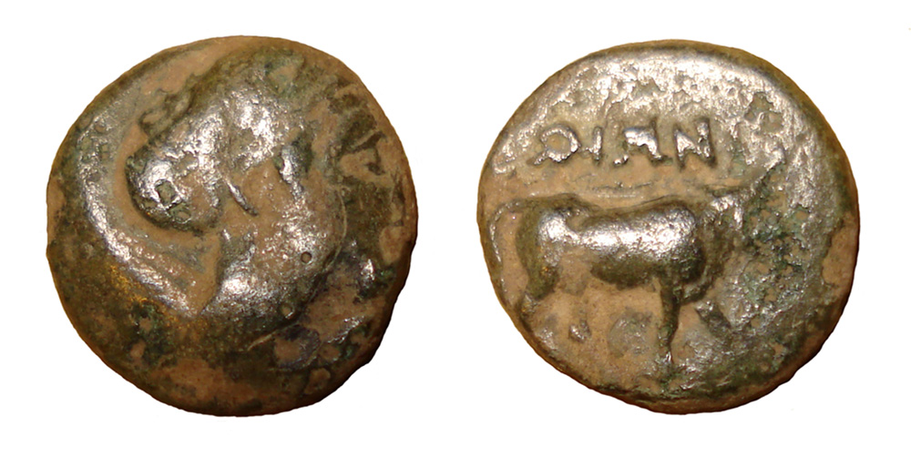 My-First-Animal-On-A-Coin.