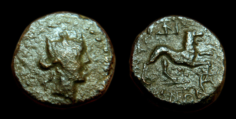 My-First-Animal-On-A-Coin.