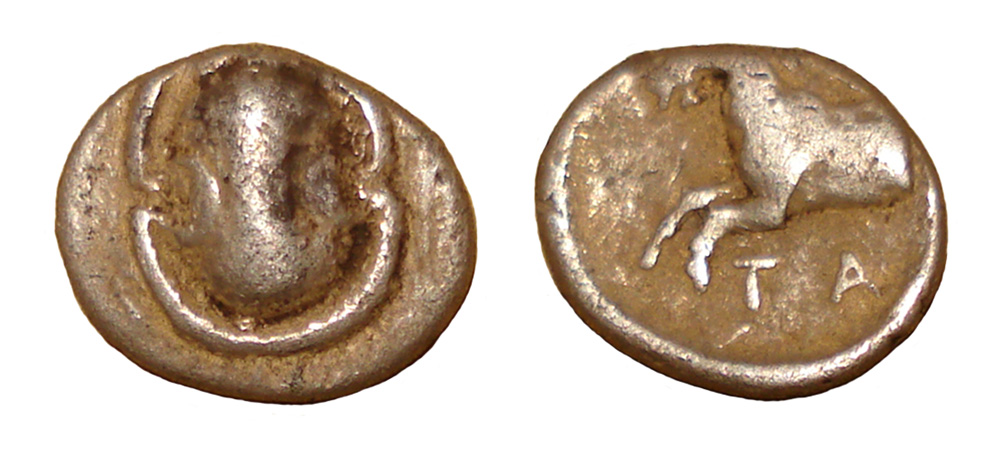 My-First-Animal-On-A-Coin.