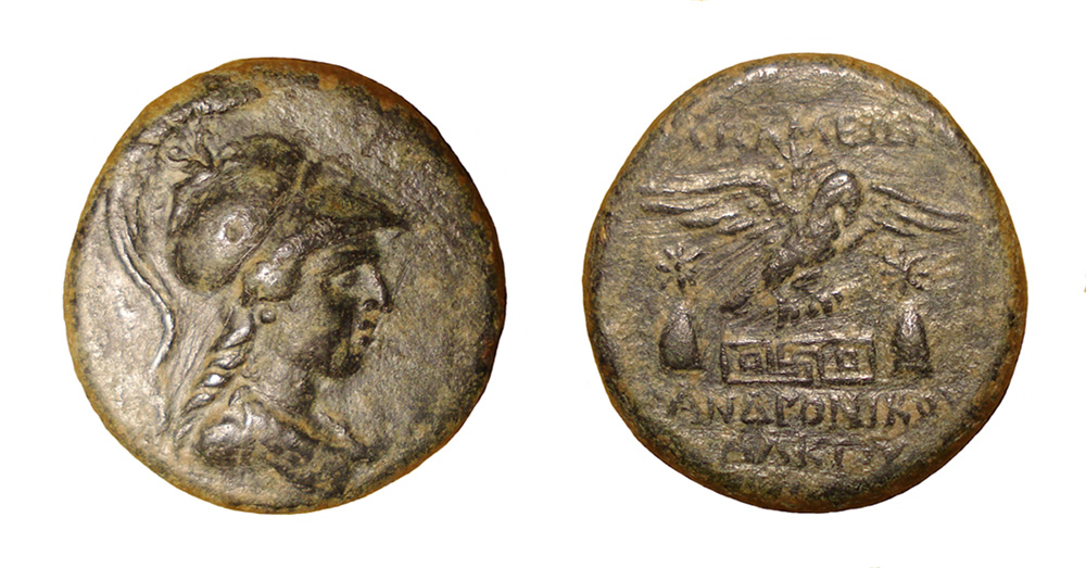 My-First-Animal-On-A-Coin.