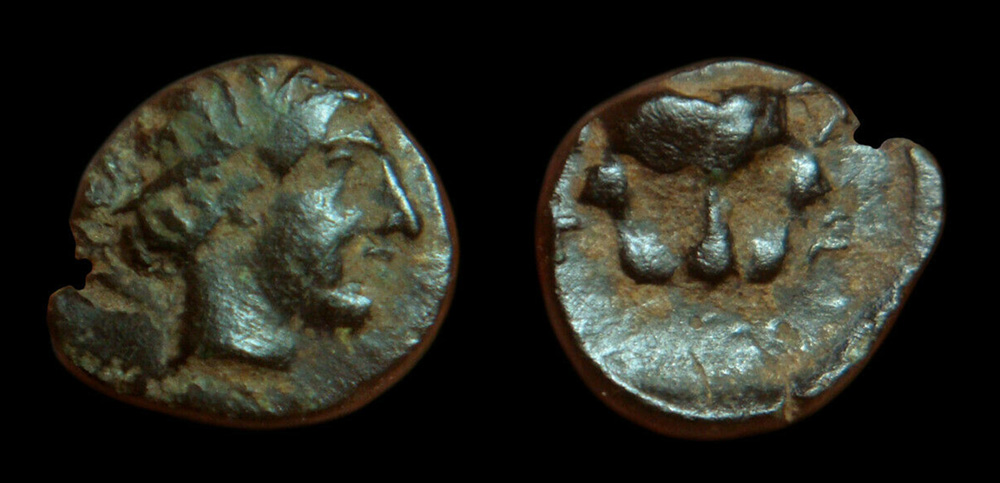My-First-Animal-On-A-Coin.