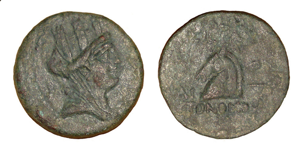 My-First-Animal-On-A-Coin.