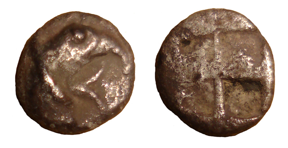My-First-Animal-On-A-Coin.