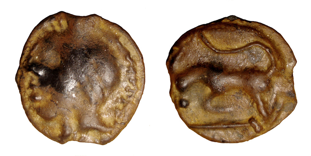 My-First-Animal-On-A-Coin.