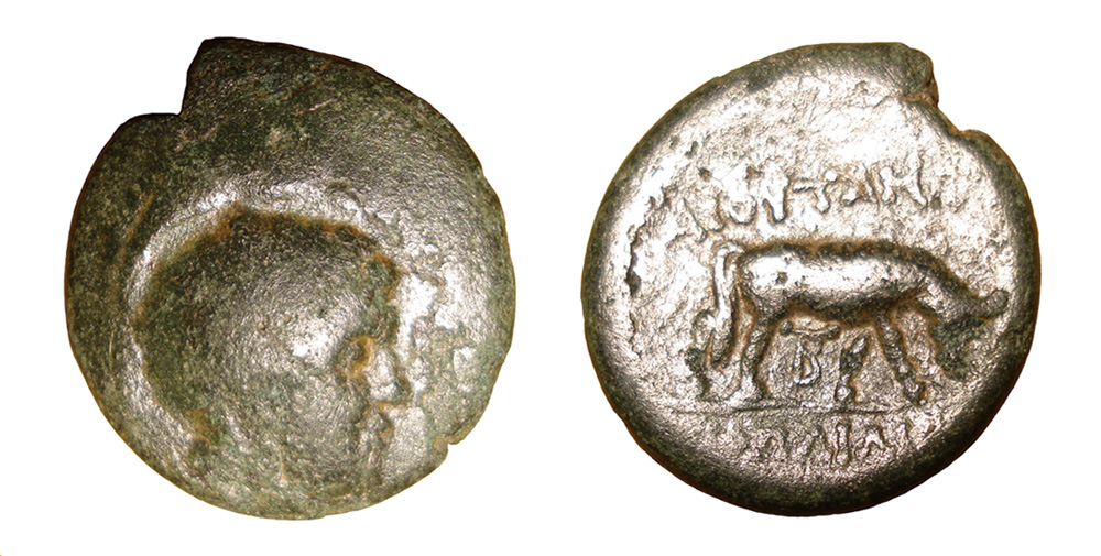 My-First-Animal-On-A-Coin.