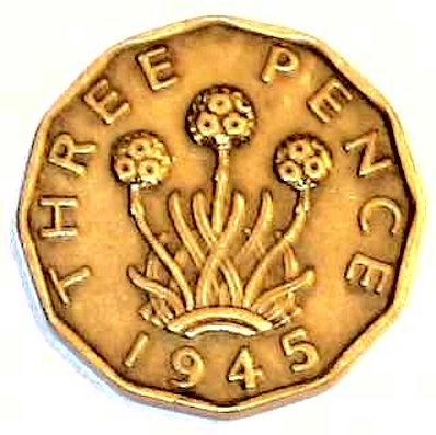 Post-Your-Coin-Or-Medal-With-Flora