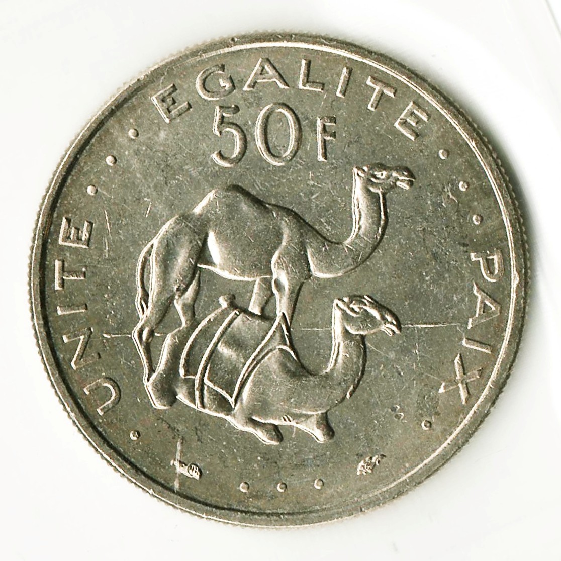 Post-Your-Coins-Representing-The-Animal-Kingdom.