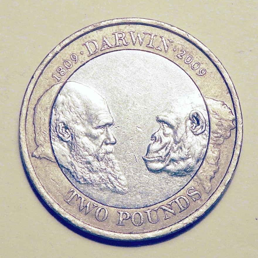 Post-Your-Coins-And-Medals-Designed-By-A-Woman