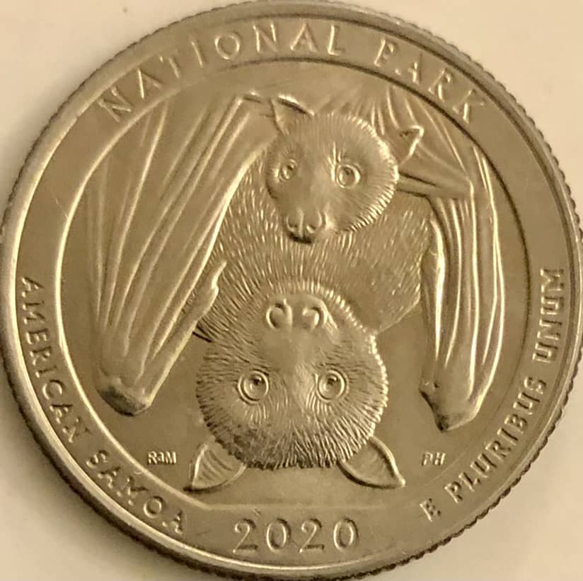 Of-Coin-Roll-Hunting-Grunge,-Heavy-Metal-Poisoning,-And-