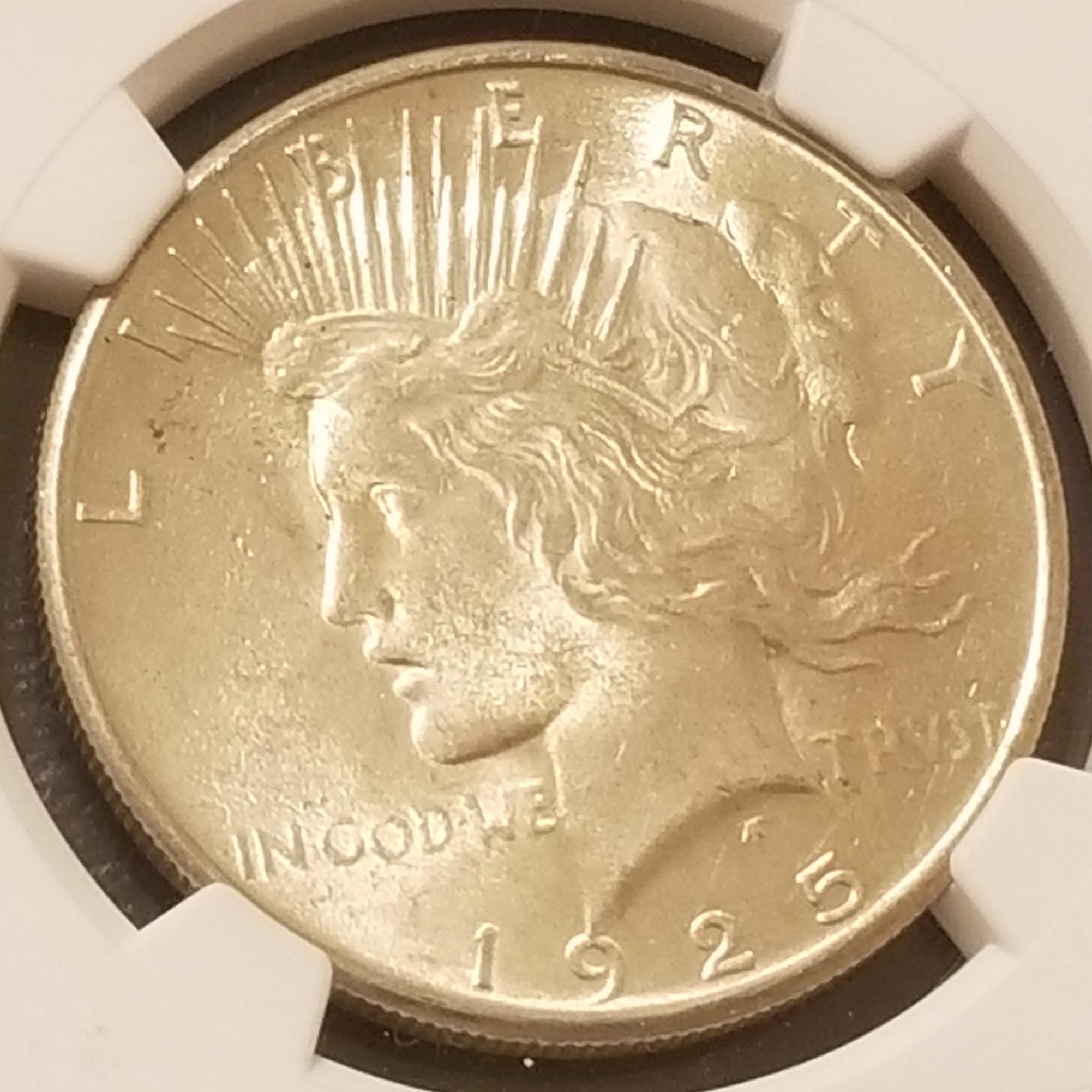 You-Vs-NGC-1925-Peace-Dollar