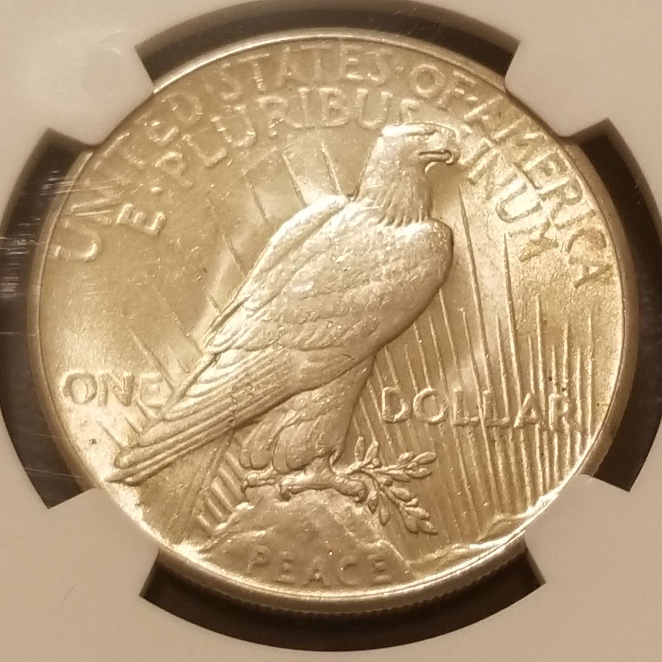 You-Vs-NGC-1925-Peace-Dollar