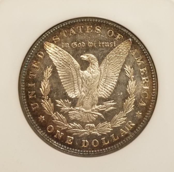 You-Vs.-NGC-1896-Morgan-Dollar