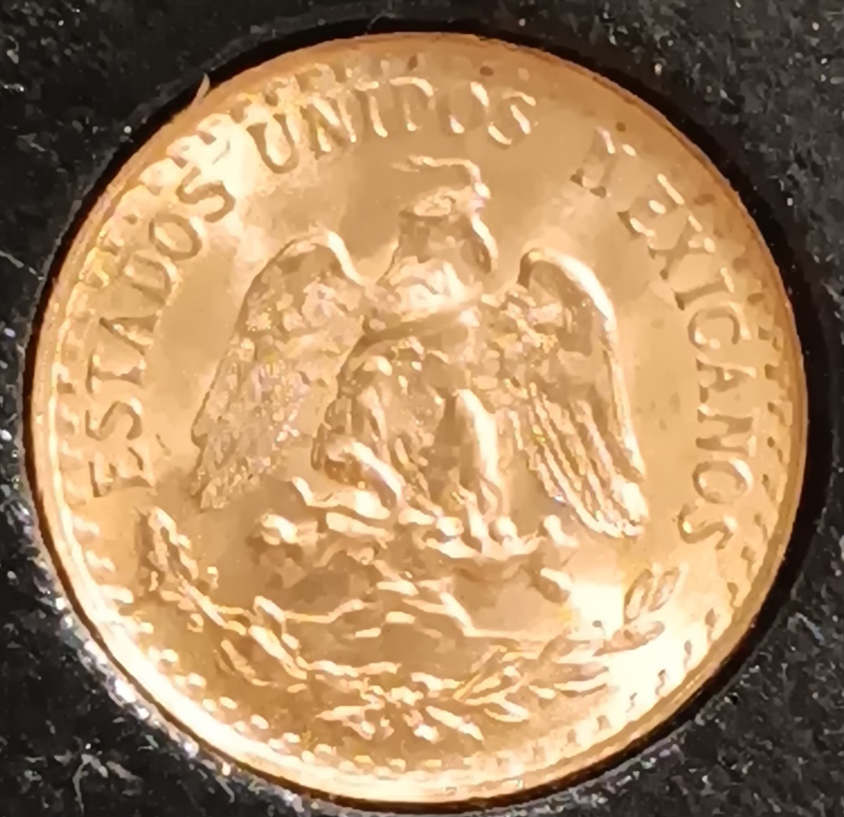 What-Did-You-Add-To-Your-Stash-Today?