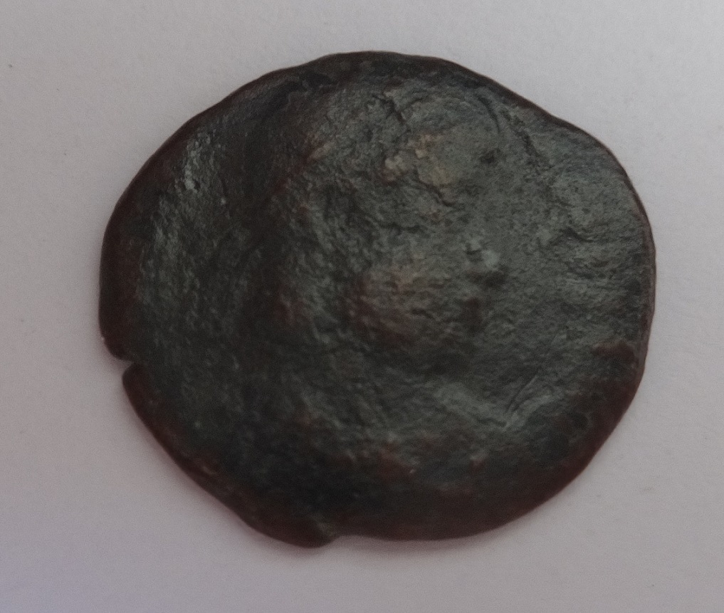 Identification-Of-Roman-Ae