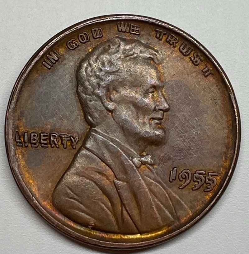 Feeling-Embarrassed-After-Coin-Shop-Disaster---1955-Doubled-Die-Lincoln-Cent