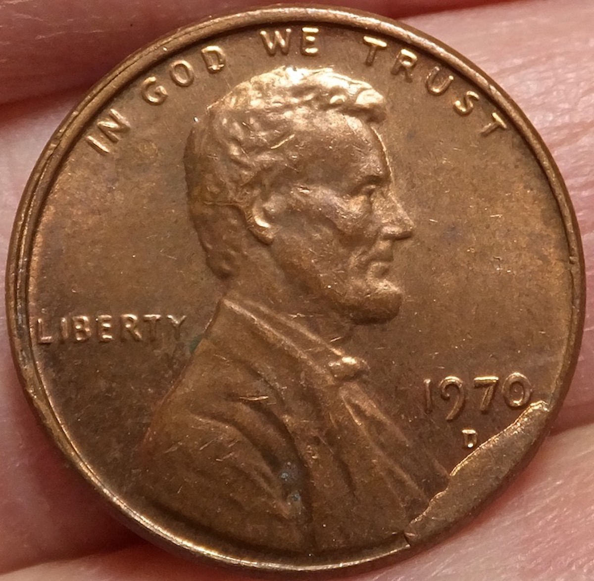 1970-D-LMC-With-Decent-Size-Cud