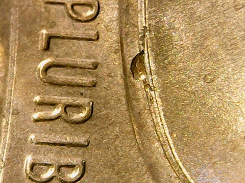 2017-P-LMC-Sheild-Cud?