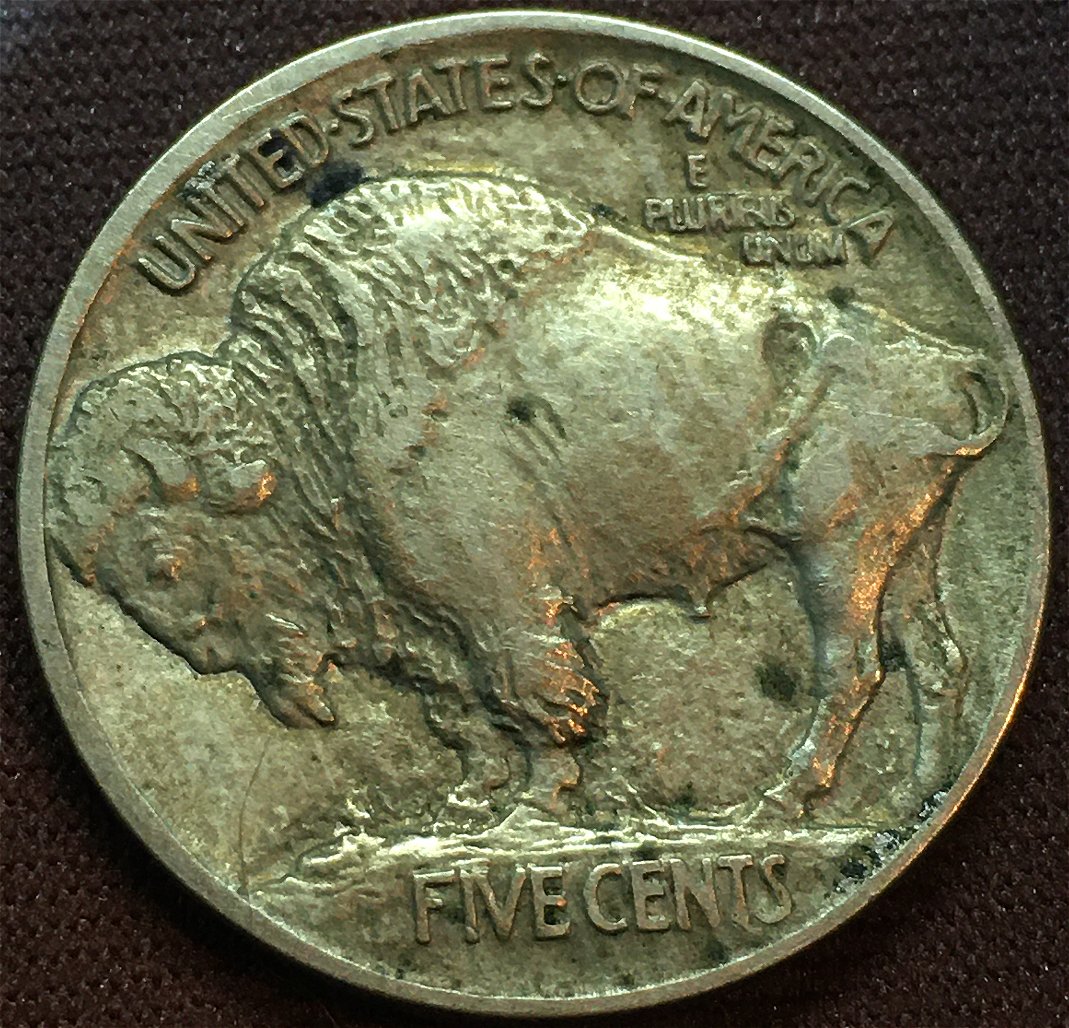 1913-Buffalo-Nickel,-Type-1,-What-Do-You-Think?