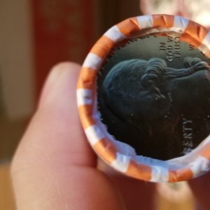 2019-Uncirculated-Quarter-Case...what-To-Do?