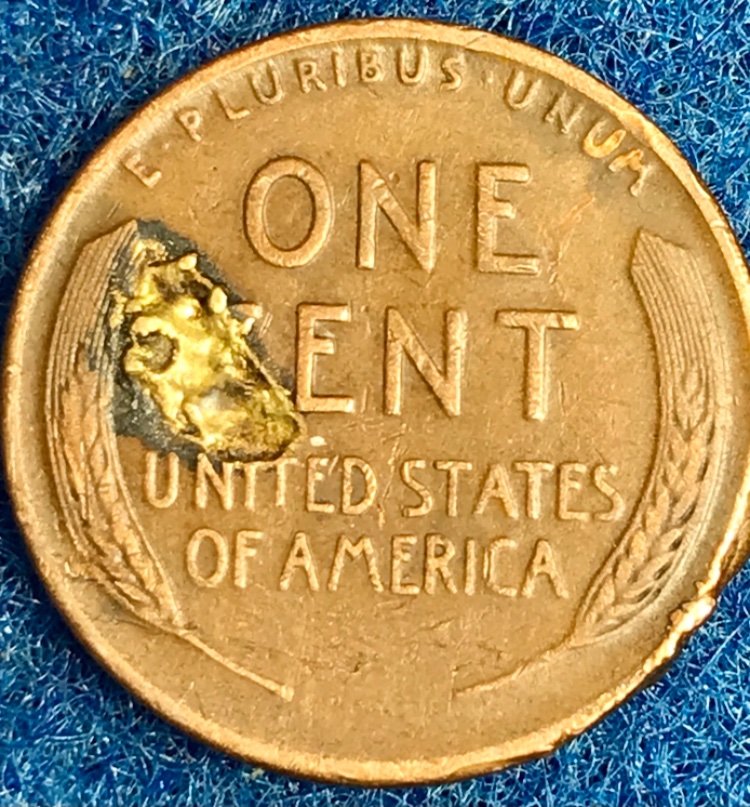 Any-Guesses-On-What-I'm-Looking-At-On-The-Back-Of-This-1936-D-Wheat-Back?