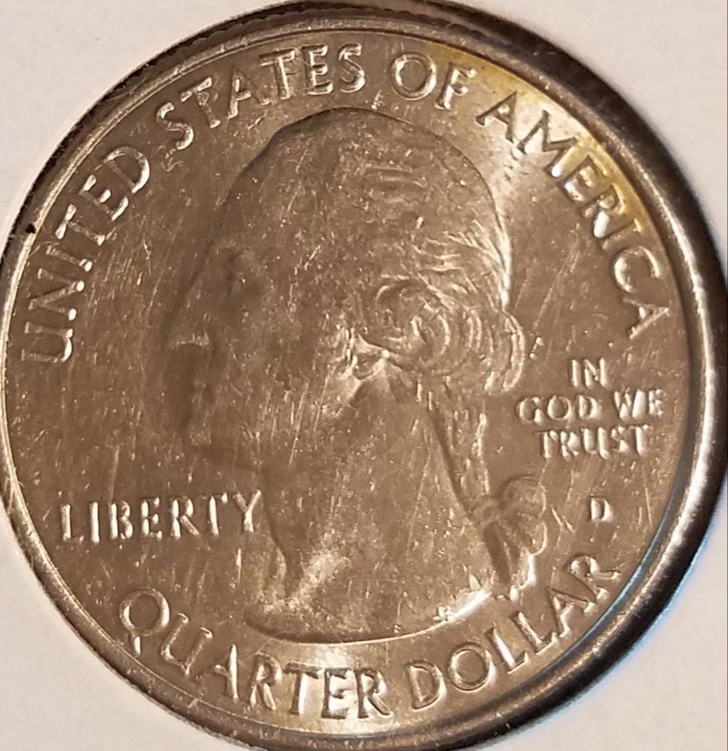 Cud-On-Kisatchie-Quarter/-Unless-I'm-Wrong.....again!