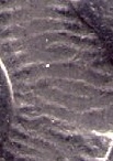 Name-That-Coin.--Daily-Coin-Snippet.