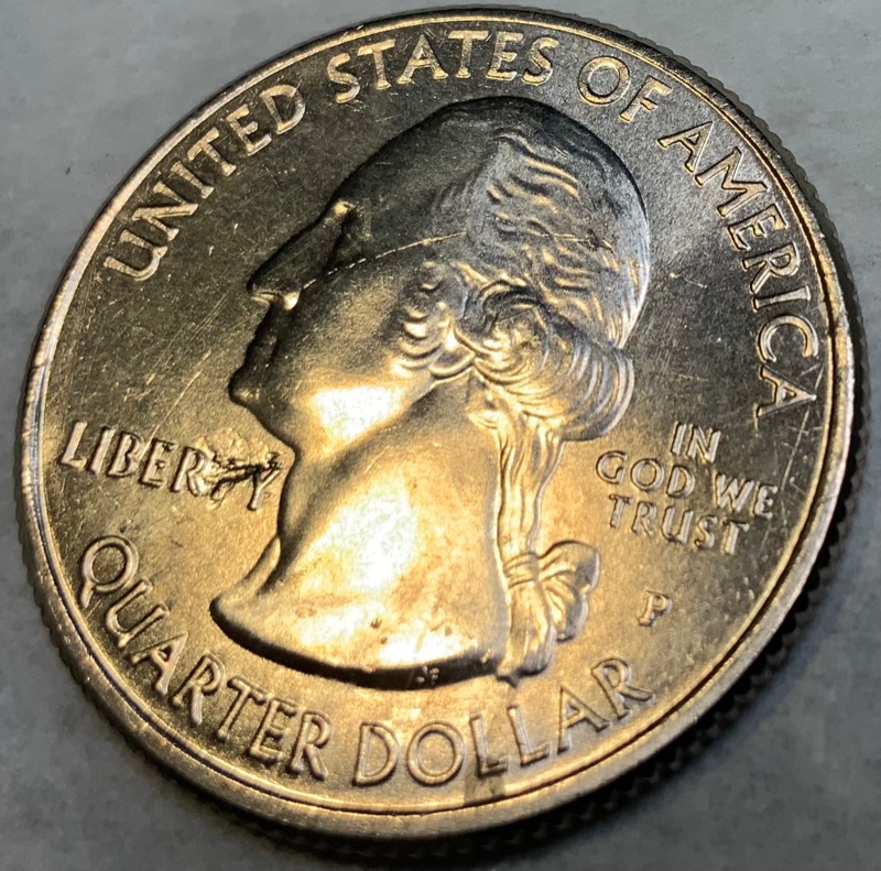 Salt-River-Bay-2020-Quarter�something-On-The-Die?