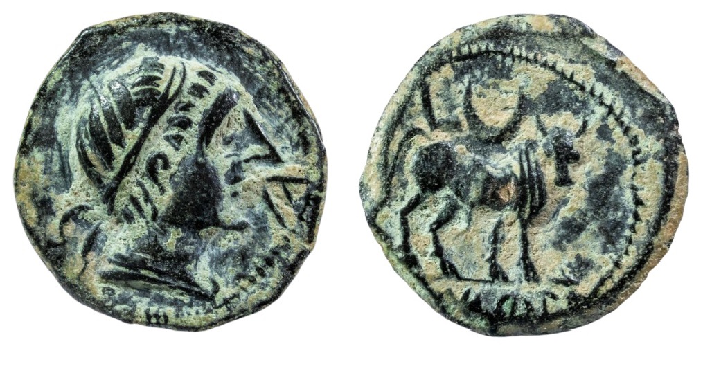 Last-Coins/Artifacts.-Purchased-In-2021.post-Yours!