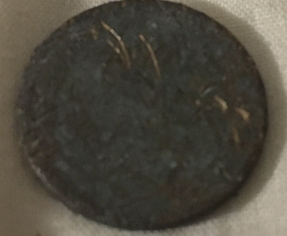 1919-S-Wheat-Cents-On-The-Grounds-From-A-Sidewalk?