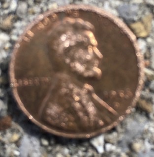 Do-You-A-Pick-Up-Old-Coins-From-Drive-Thru?
