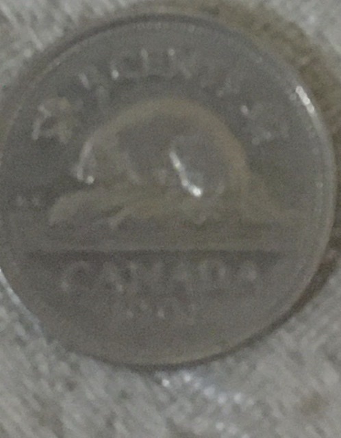 Foreign-Coins-From-Cashout-Voucher?