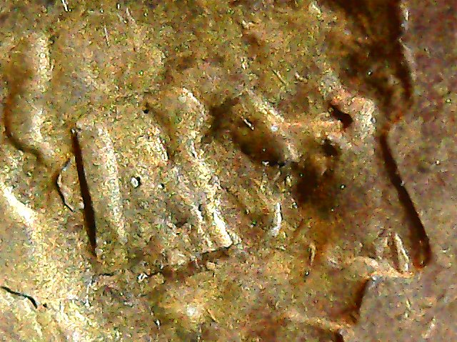 1954-S-LWC-Delamination-And-Struck-Thgrough.