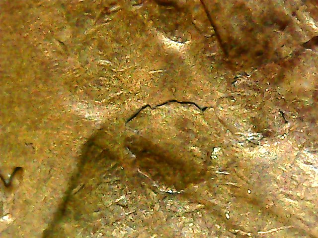 1954-S-LWC-Delamination-And-Struck-Thgrough.