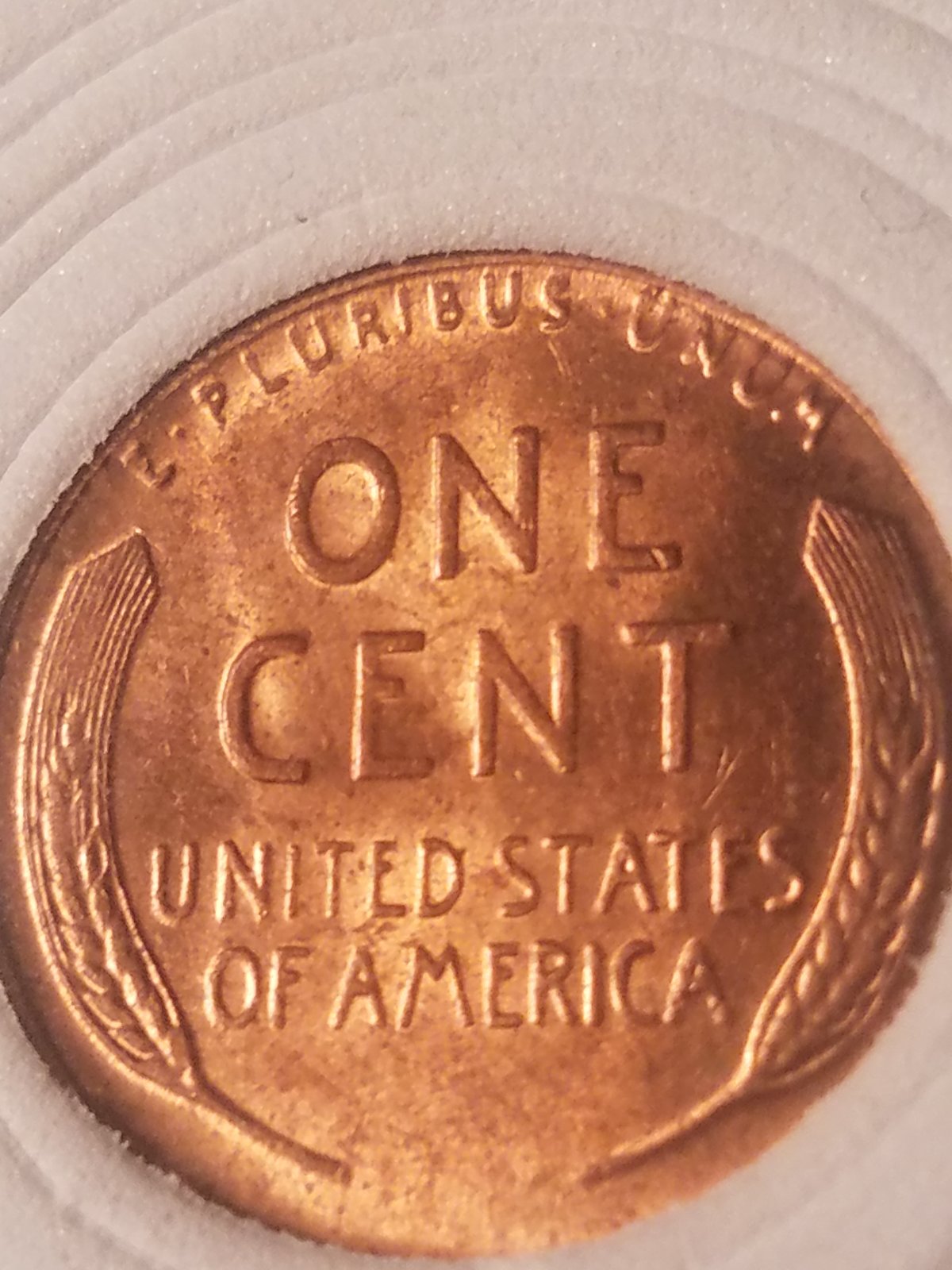 Interesting-Find-From-Circulation