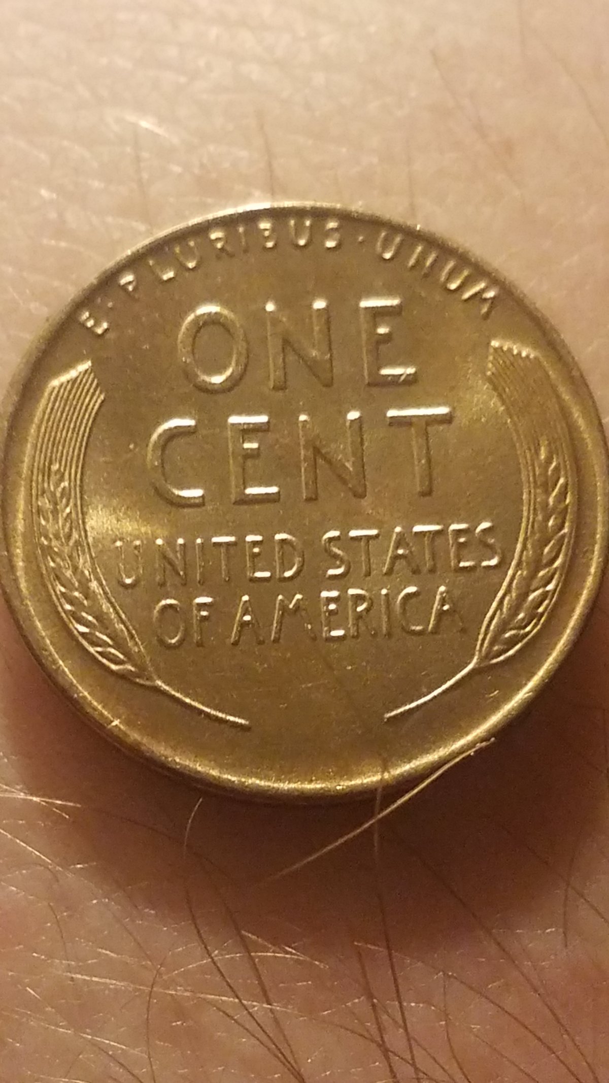 Anything-Worth-Grading?