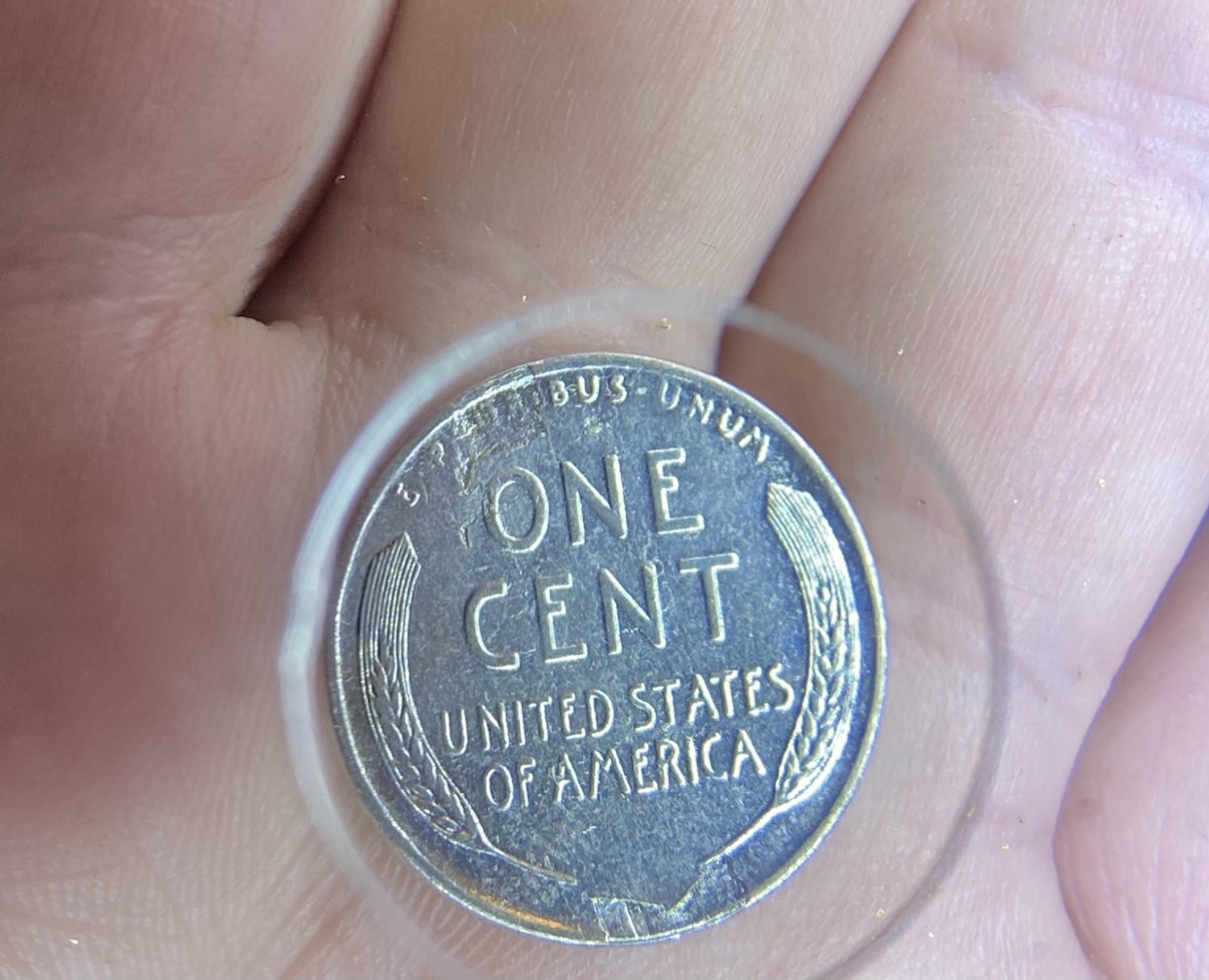 Grading-Request-For-1909-S-VDB-And-1943-Steel-Cent-With-