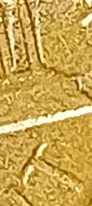 New-Member-My-Name-Is-Jason-From-Chicago-1973-D-Cent