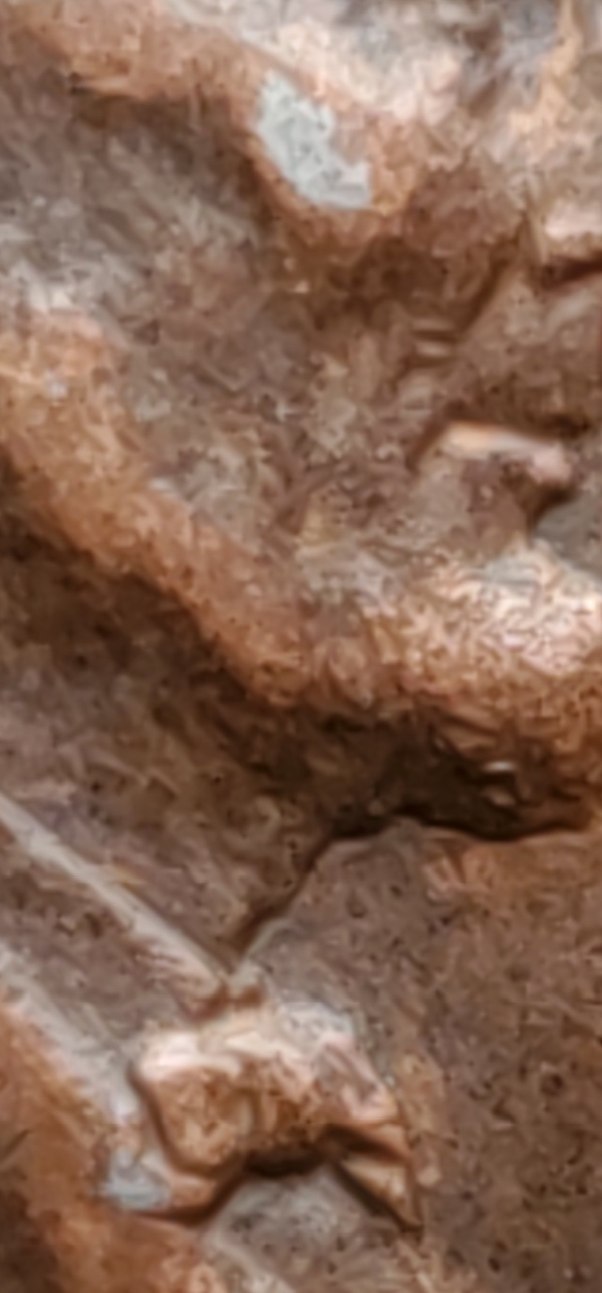 1943-P-Copper-Coated-Wheat-Cent---Possible-Tin?