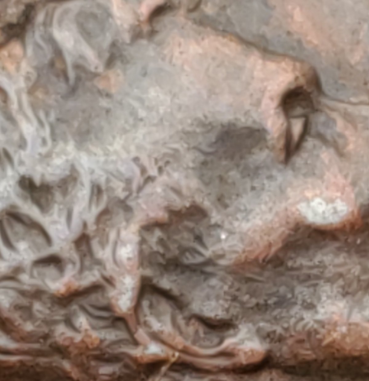 1943-P-Copper-Coated-Wheat-Cent---Possible-Tin?