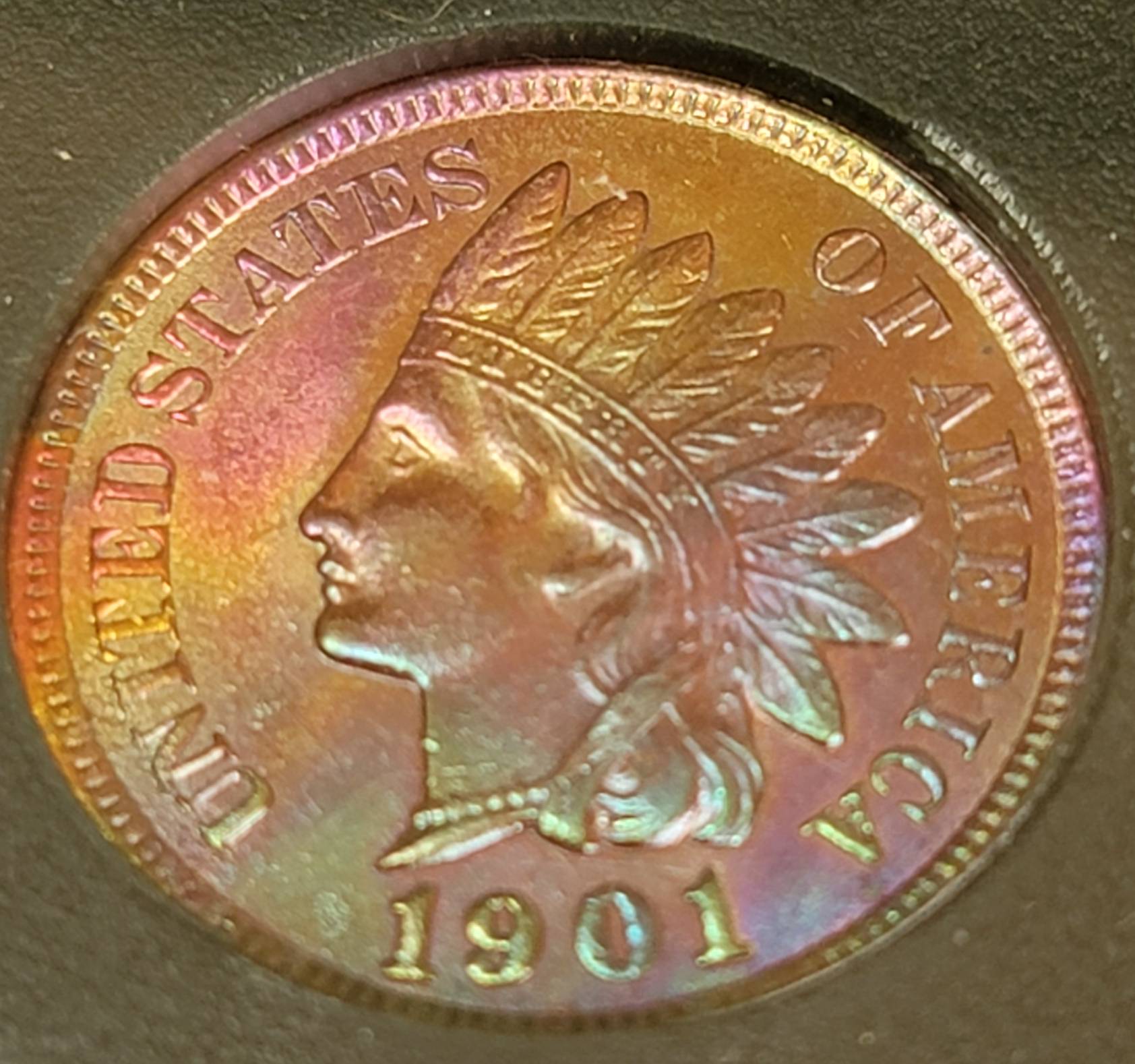 Looks-Artificial-To-Me-1901-Cent