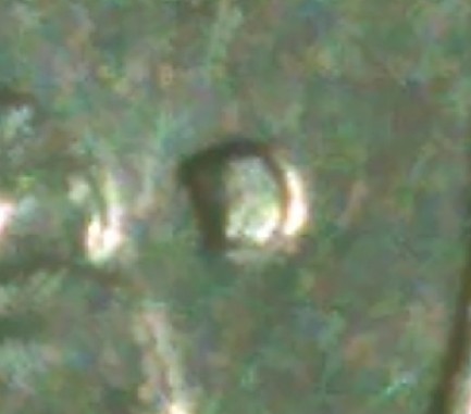 1976--D-Bicentennial-Quarter-DDO-?